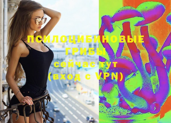 шишки Белокуриха