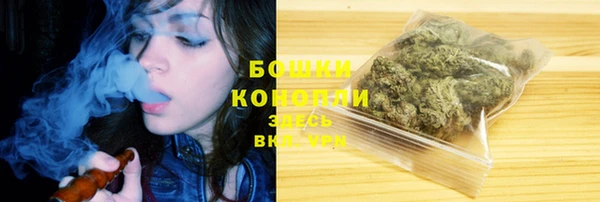 шишки Белокуриха