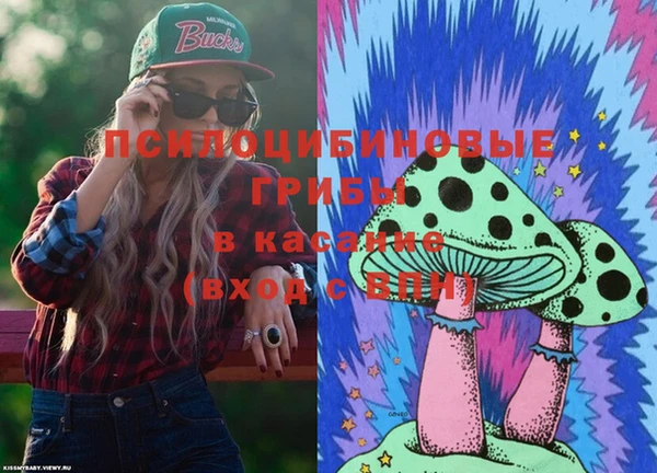 шишки Белокуриха