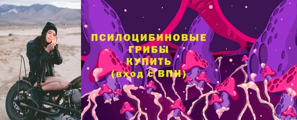 шишки Белокуриха